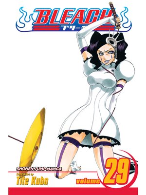 cover image of Bleach, Volume 29